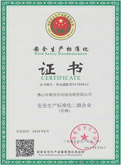 安全生產(chǎn)標準化二級企業(yè)證書(shū)