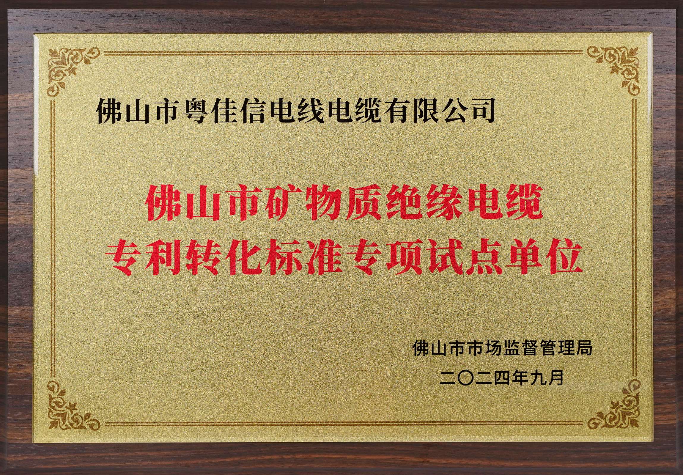 佛山市礦物質(zhì)絕緣電纜專(zhuān)利轉化標準專(zhuān)項試點(diǎn)單位(1)